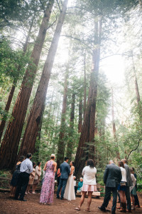 Heather Michaels Sneak K Muir Woods Wedding Photographer Muir Woods Wedding Photographer