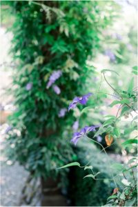 healdsburg wedding photographer