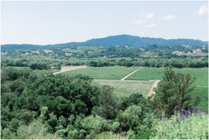 healdsburg wedding photographer