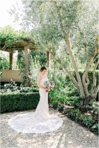 healdsburg wedding photographer