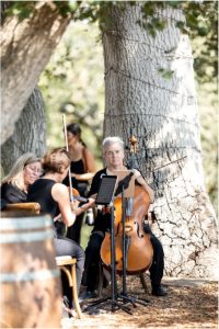 healdsburg wedding photographer