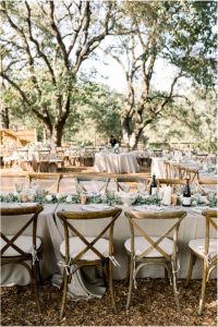 healdsburg wedding photographer
