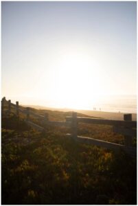 pt reyes engagement session