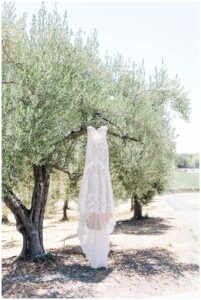 BR Cohn Winery Wedding Photographer