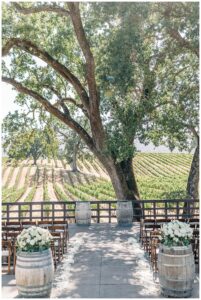 BR Cohn wedding photographer