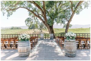 BR Cohn wedding photographer