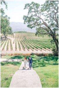BR Cohn Winery Wedding Photographer
