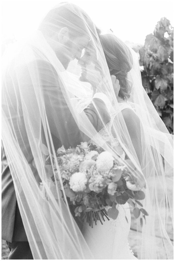Bride and groom photos at B.R Cohn Winery Sonoma