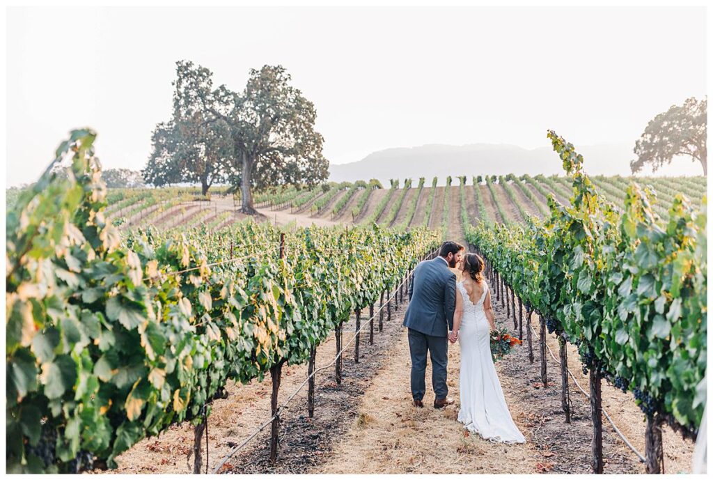 Golden hour photos at B.R Cohn Winery Sonoma