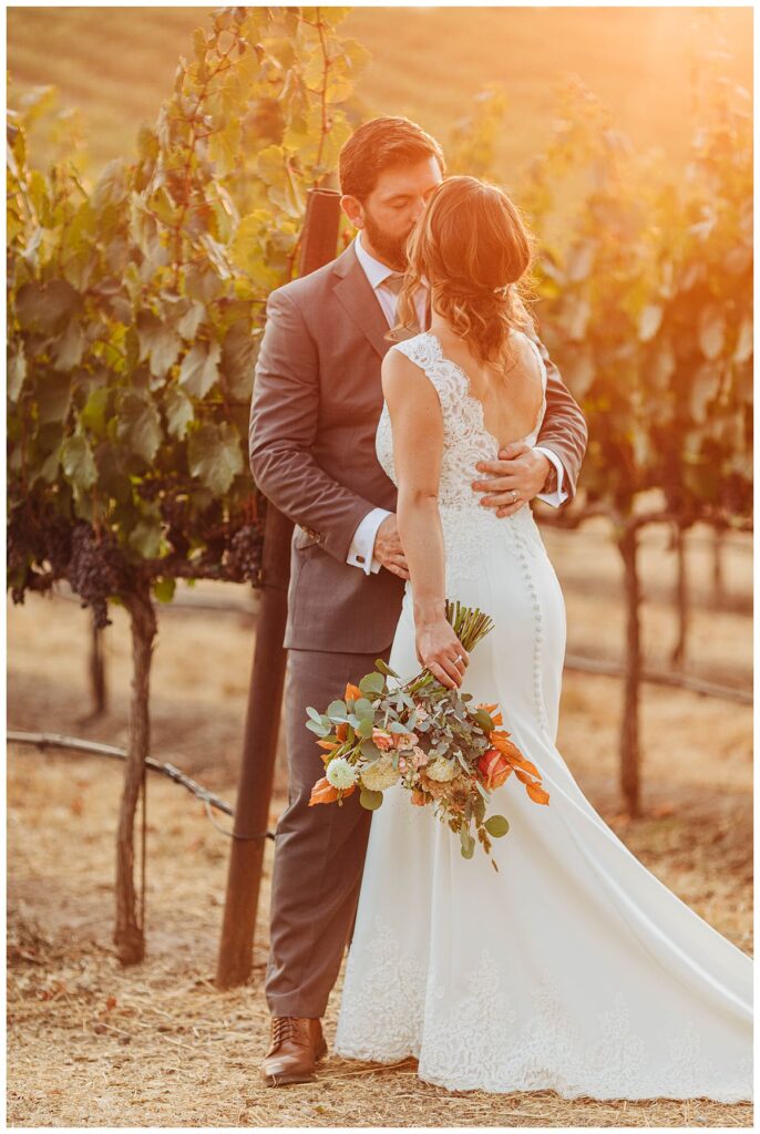 Golden hour photos at B.R Cohn Winery Sonoma
