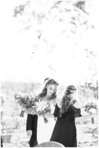 Real Ceremony at Olympias Valley Estate Petaluma by Sonoma County wedding photographer Kimberly Macdonald