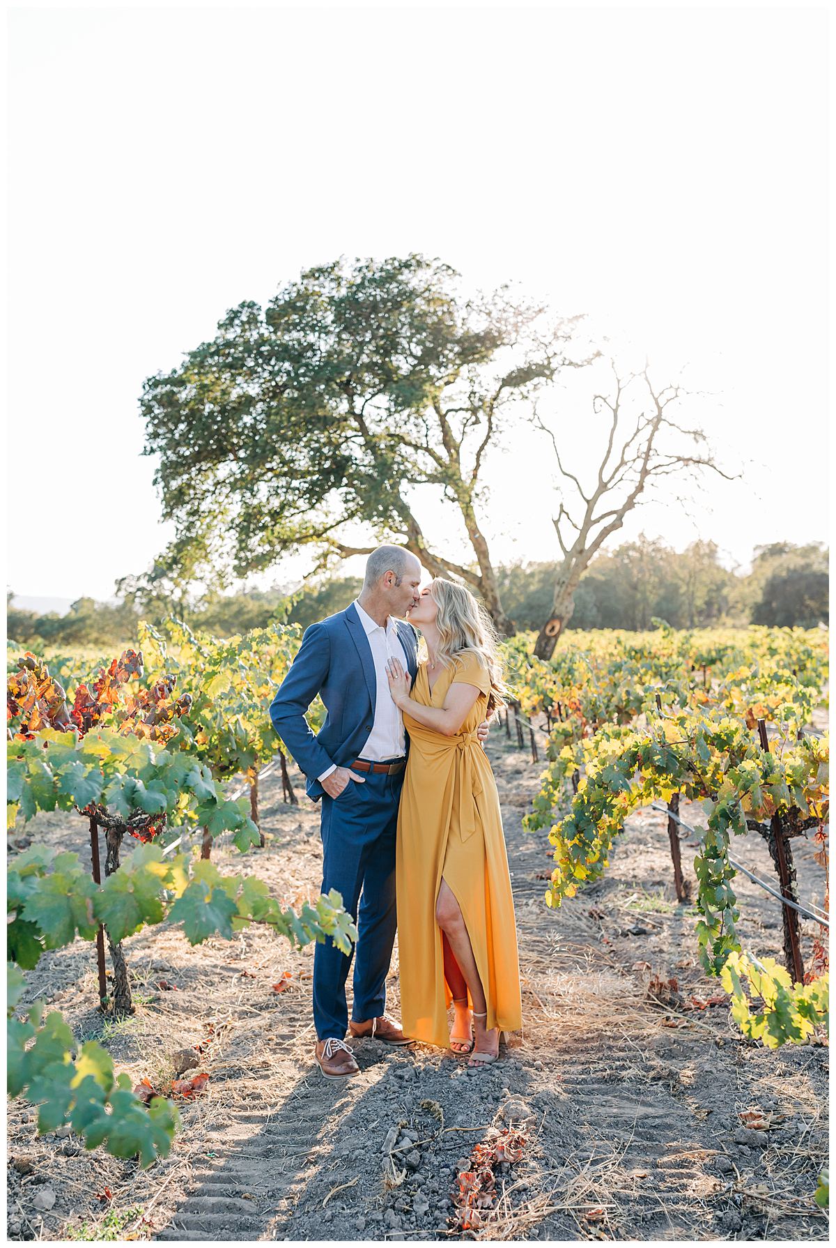 Sonoma-Winery-Wedding-Photographer-Kimberly-Macdonald-Photography-12.jpg