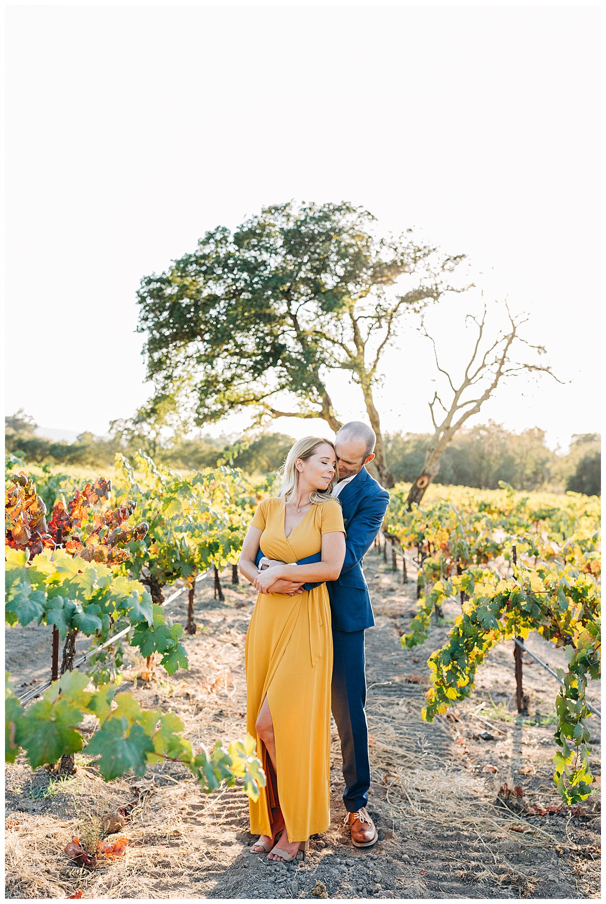Sonoma-Winery-Wedding-Photographer-Kimberly-Macdonald-Photography-16.jpg