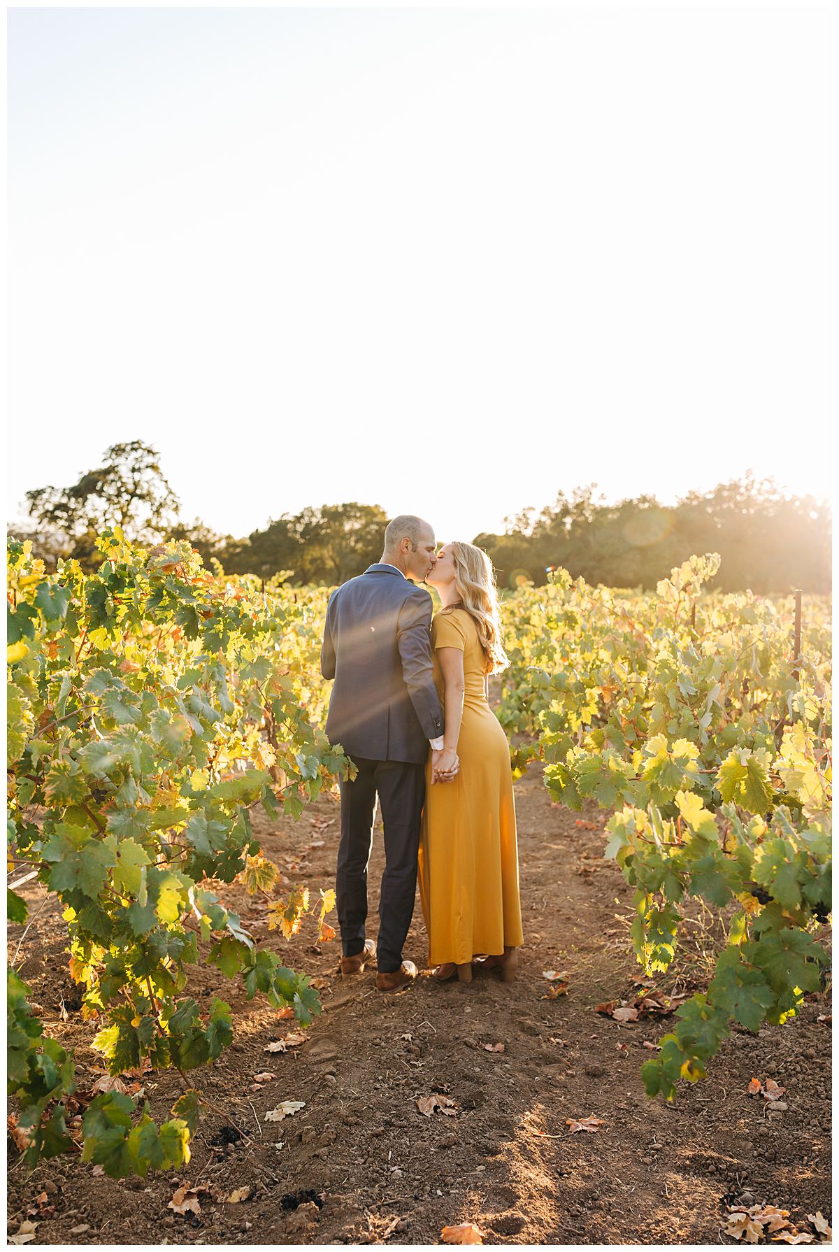 Sonoma-Winery-Wedding-Photographer-Kimberly-Macdonald-Photography-32.jpg