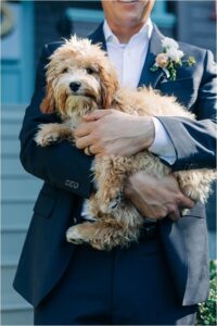 Bride and Groom Portraits at SF Bay Area Wedding