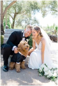 Wine Country Wedding