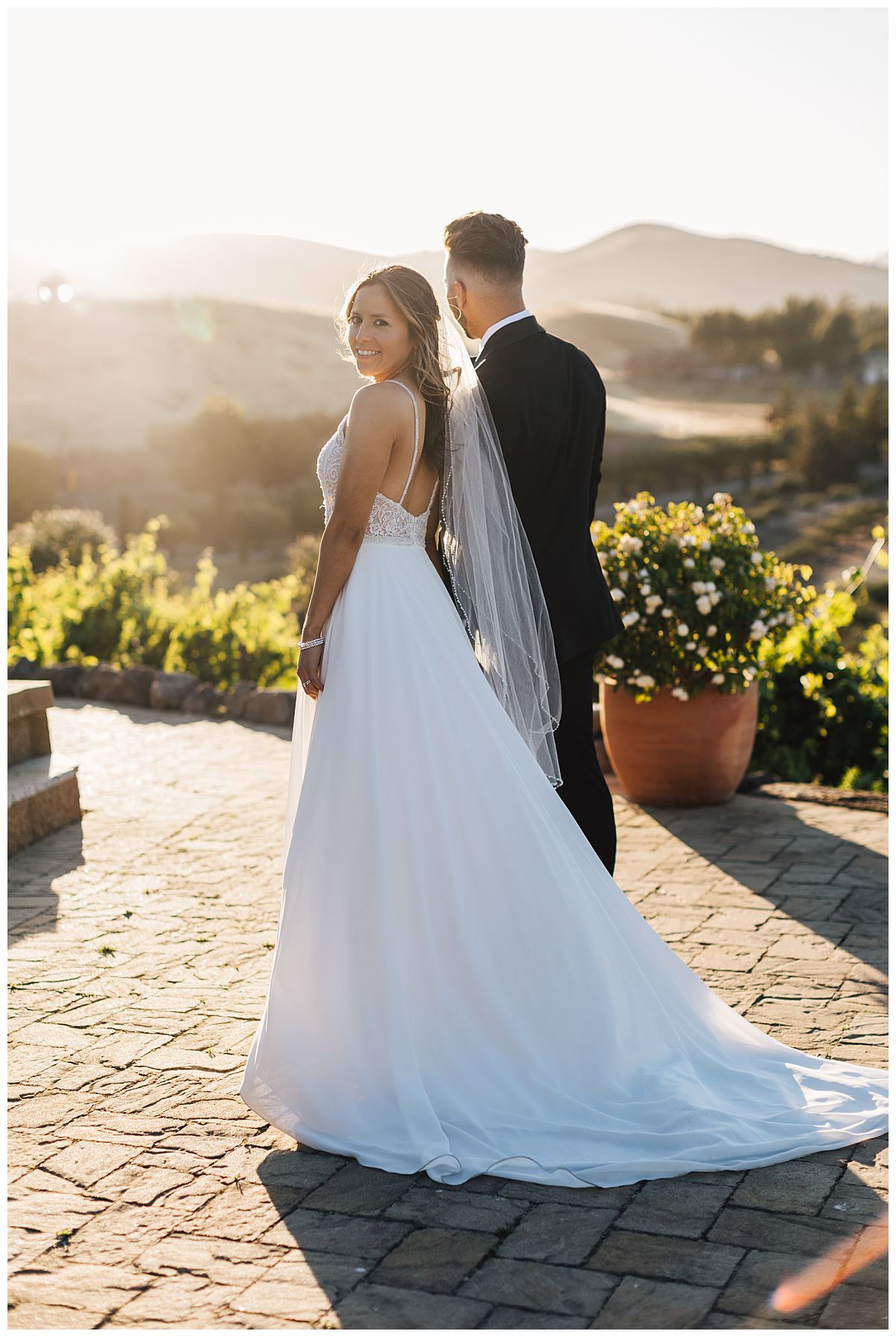 Sunset couples portraits at Viansa Winery Wedding