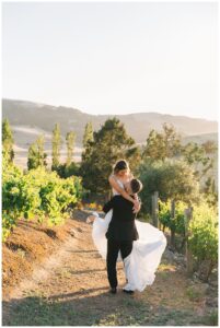 Bride and groom portraits at Viansa Winery Wedding