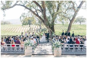 wedding ceremony at br cohn