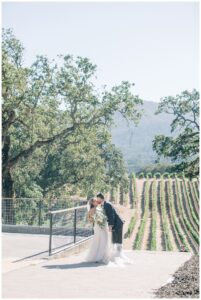 grand entrance at br cohn winery