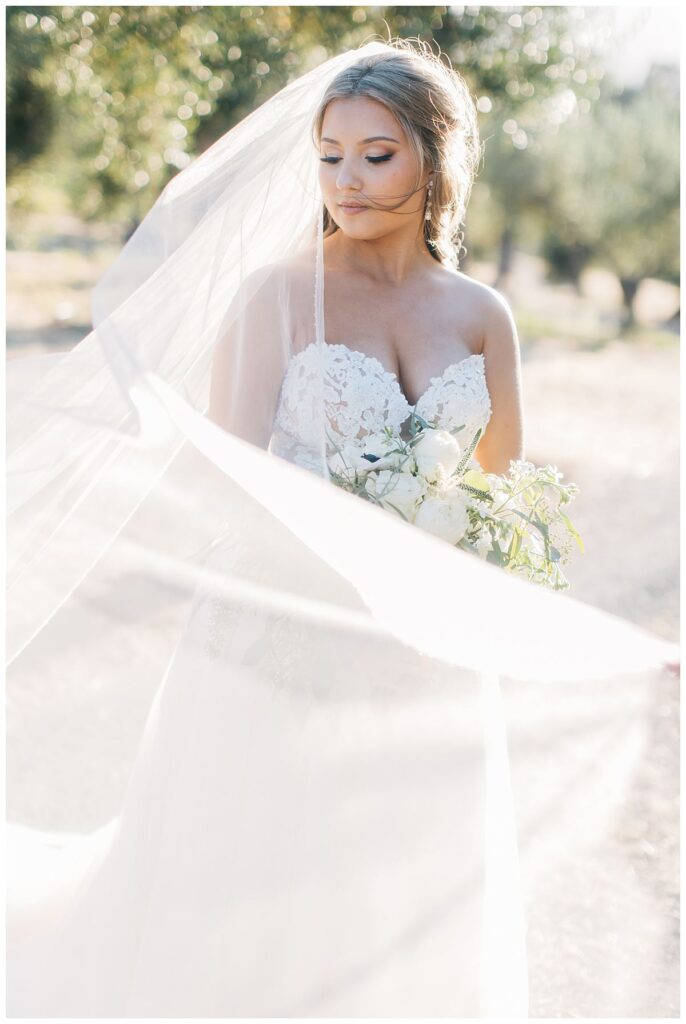 golden hour portraits at winery wedding