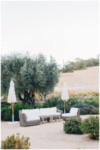 Sonoma County wedding at ru's farm