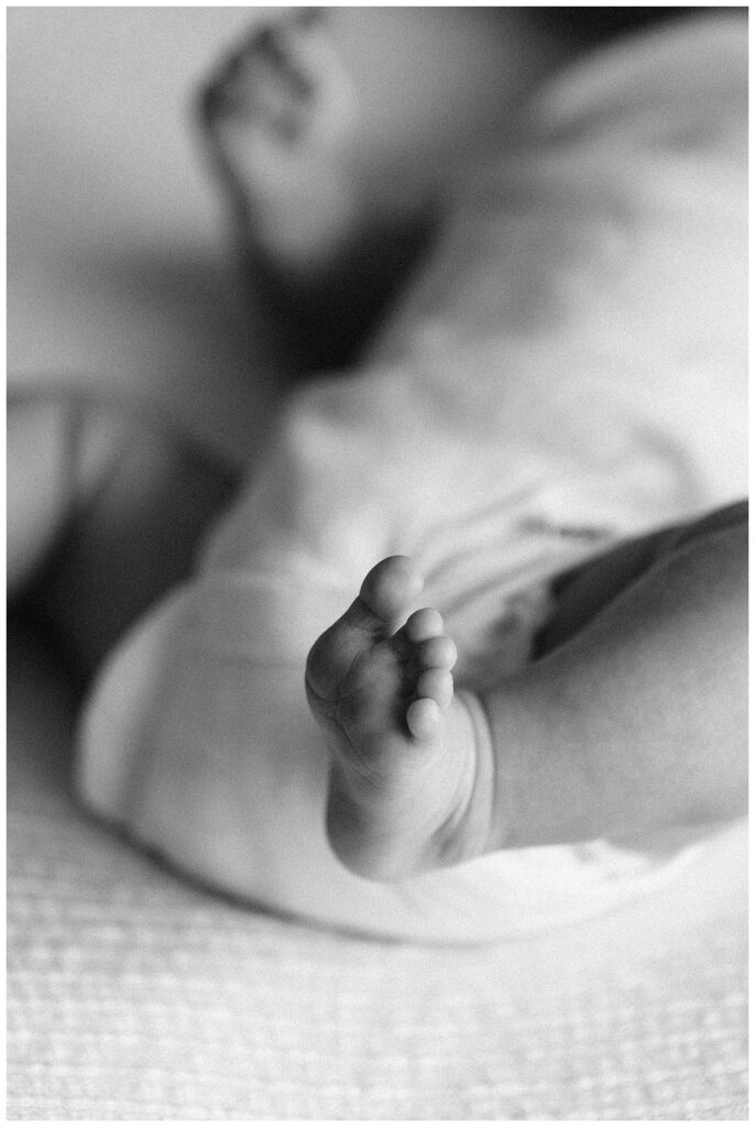 Santa Rosa newborn photographer