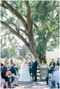 Vows at Sonoma Winery Wedding