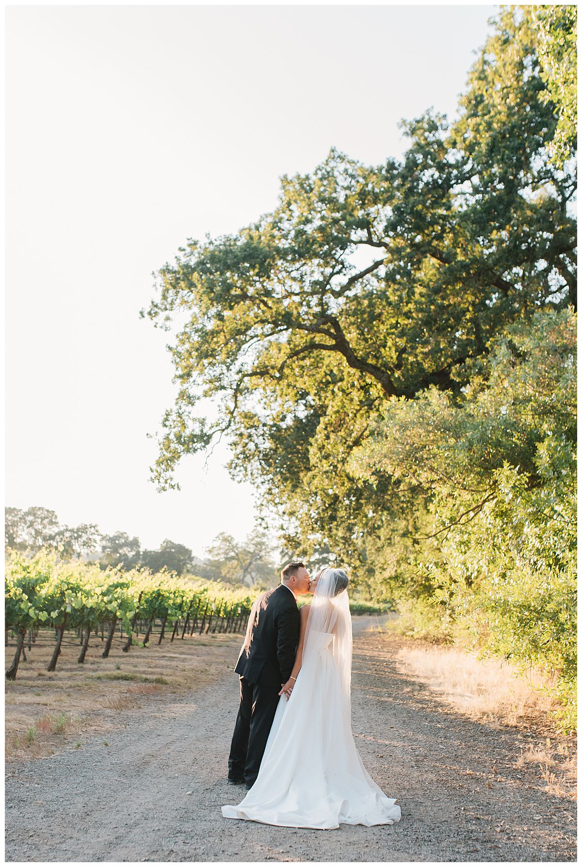 bride and groom at BR Cohn Winery wedding