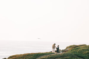 bodega bay proposal