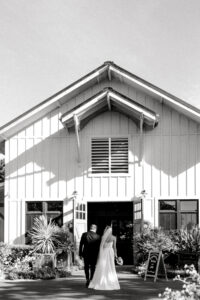 copain winery wedding in healdsburg
