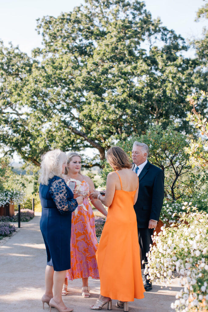 cocktail hour guests at wine country wedding 