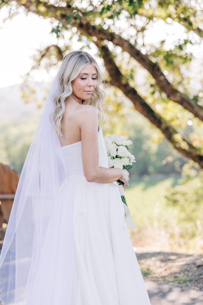 bridal portraits at copain winery 