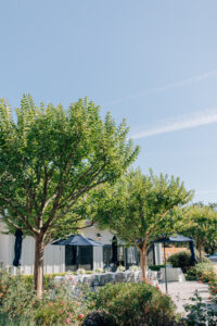 destination wedding venue in sonoma county