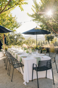 intimate wedding in healdsburg