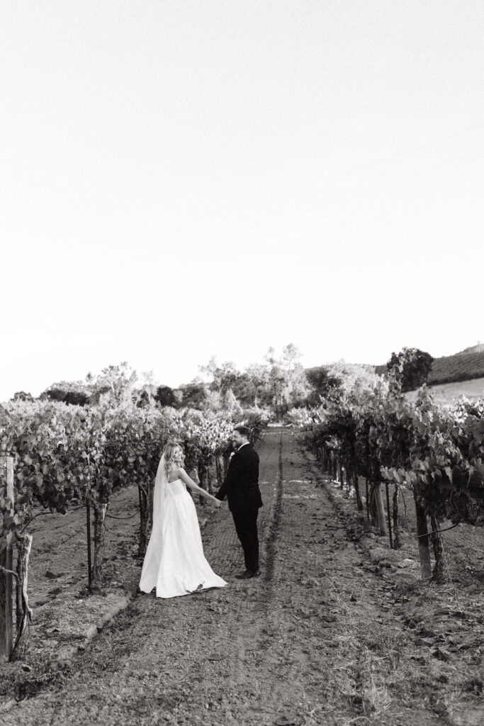 bride and groom portraits at sonoma county winery