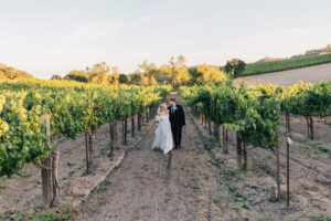 wine country winery wedding portraits