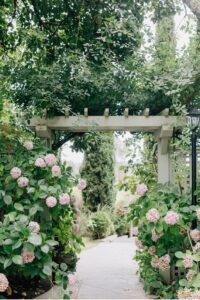 backdrop at vine hill house wedding