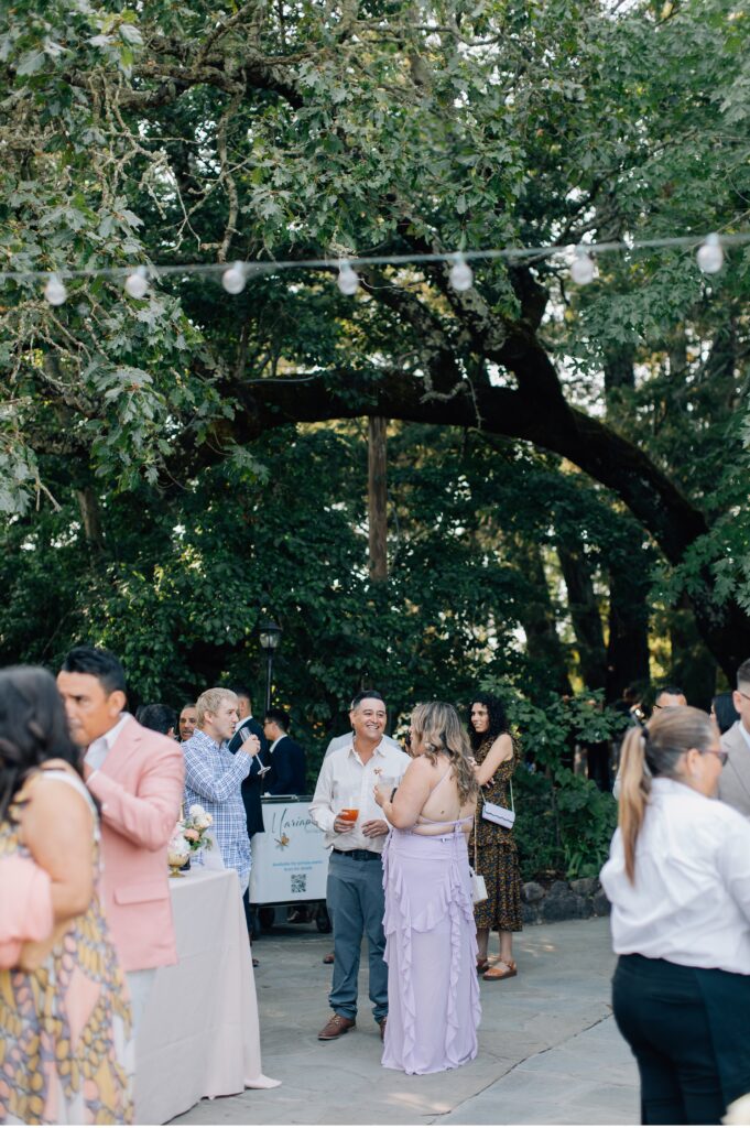 cocktail hour at sonoma county wedding