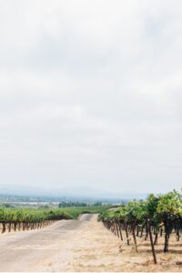 vine hill house wedding photos
