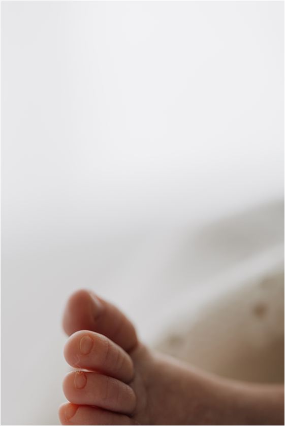 baby toes macro