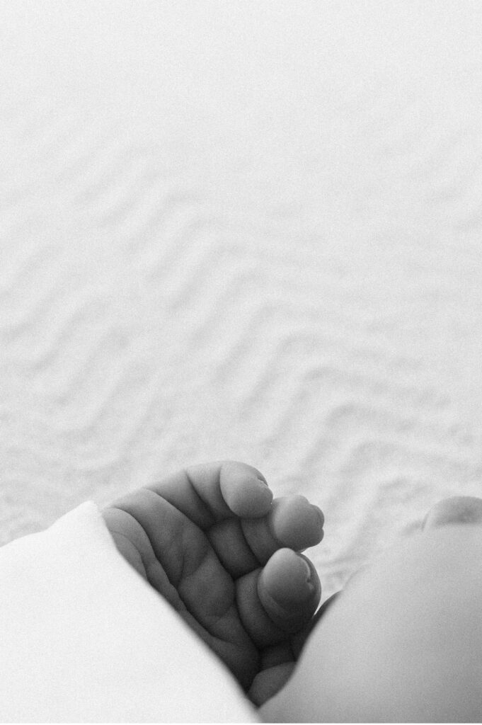macro details of newborn sonoma county
