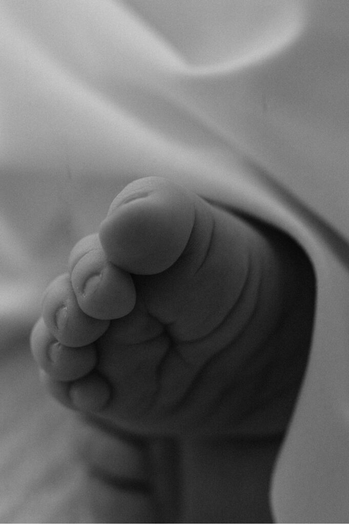 macro detail of newborn feet