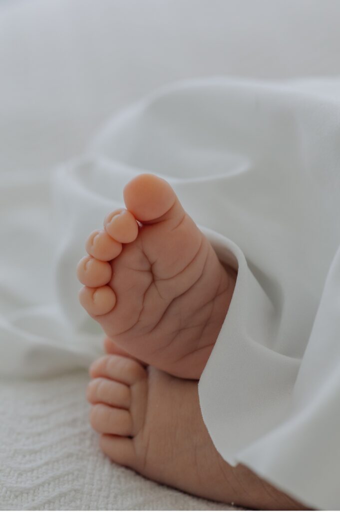 petaluma newborn photographer