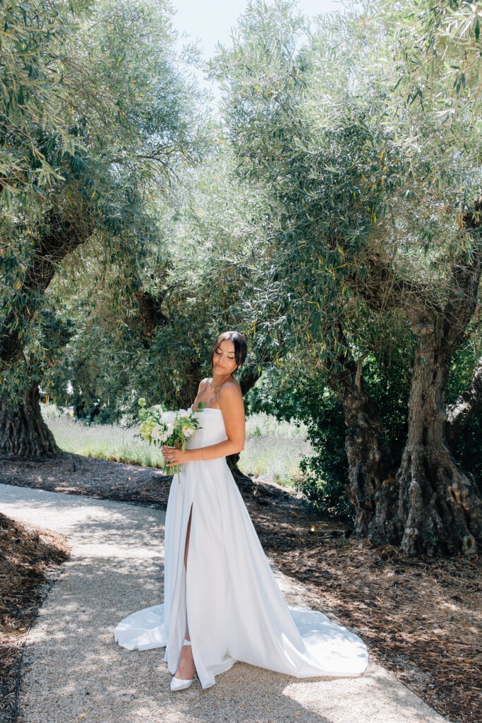 bridal portrait at Rus Farm Healsburg wedding 