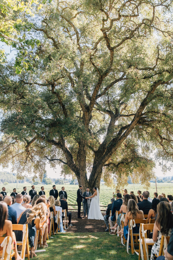 wine country wedding venues with a view