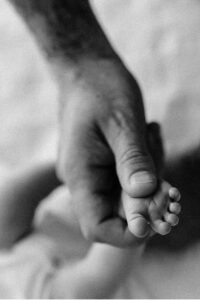 baby portraits in sonoma county