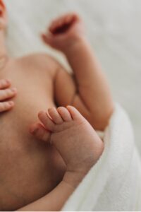 baby portraits in sonoma county