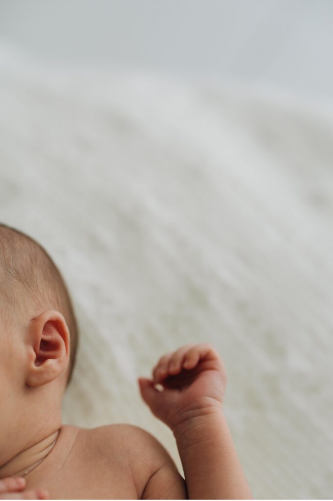 baby details in photos sonoma county