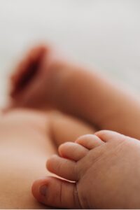 baby portraits in sonoma